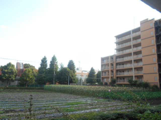 18/23 その他画像