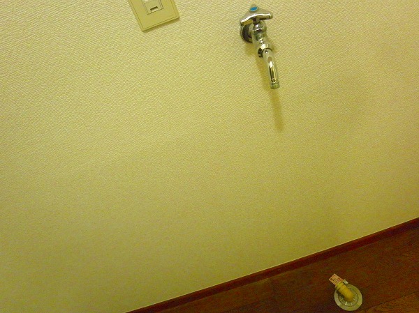 11/28 その他画像