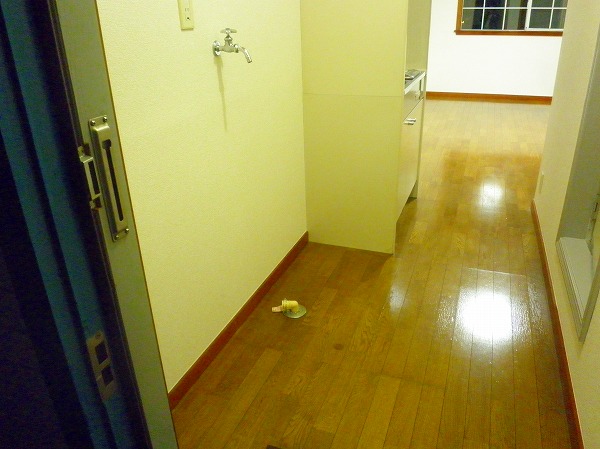 19/28 その他画像