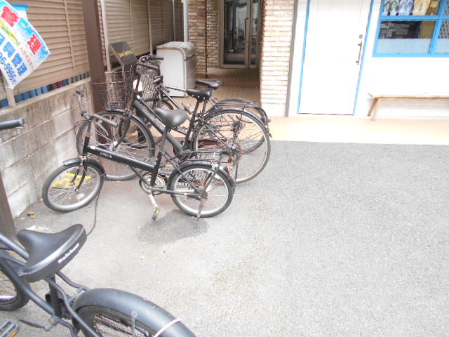 20/30 その他画像