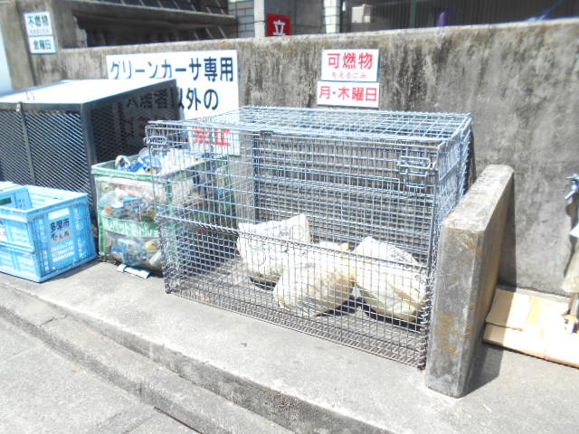 21/30 その他画像