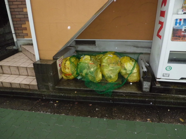 12/22 その他画像