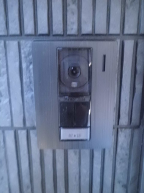 21/29 その他画像