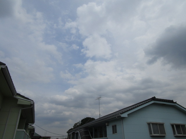 16/30 その他画像