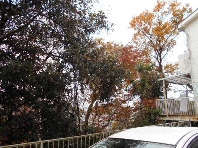 22/30 エントランス