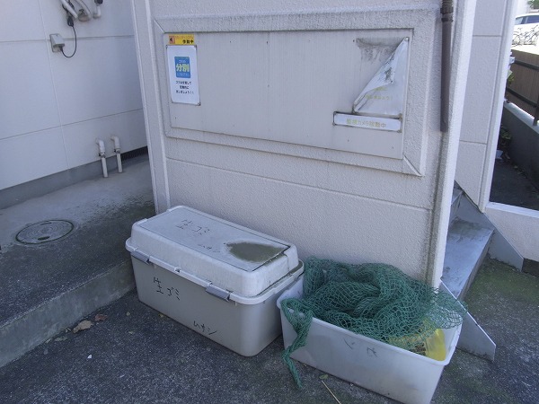 12/30 その他画像