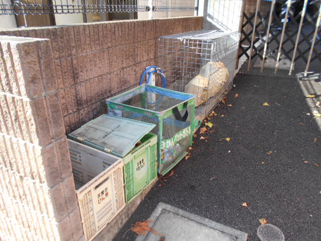 20/28 その他画像