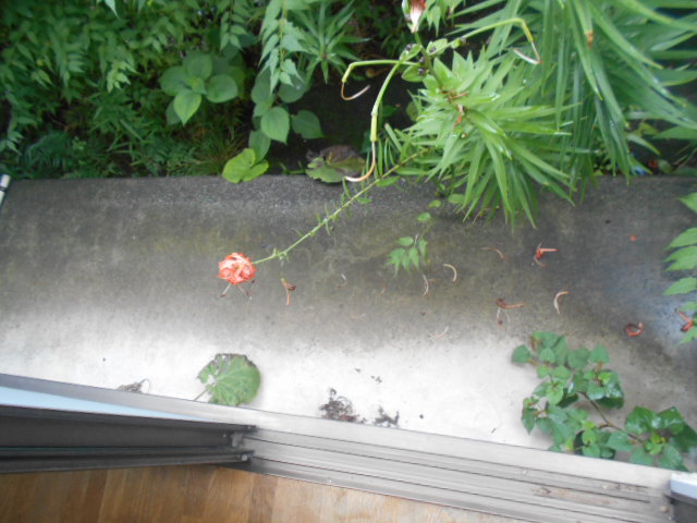 16/27 バルコニー