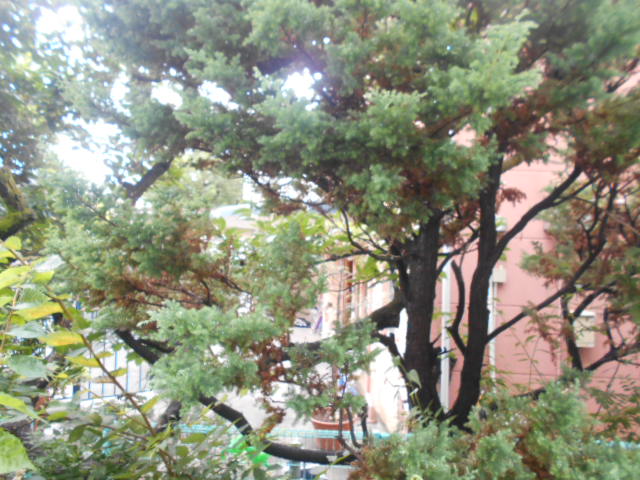 17/27 その他画像