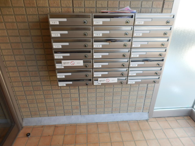 20/30 その他画像