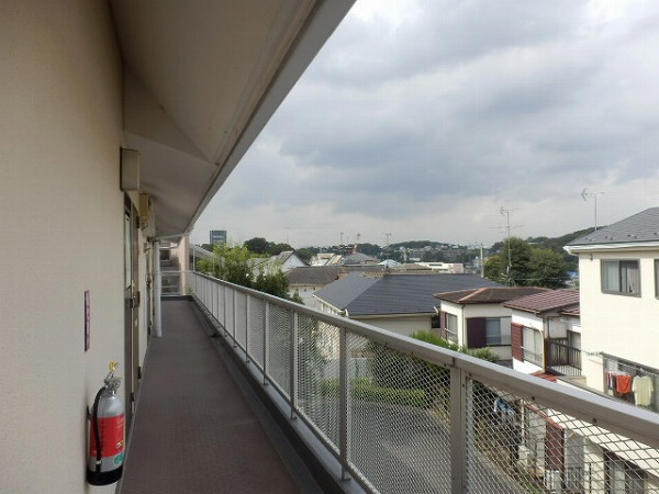 15/29 その他画像