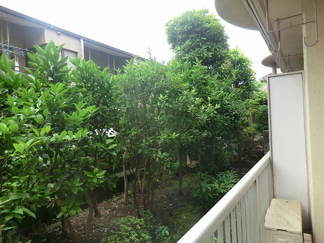 16/24 その他画像