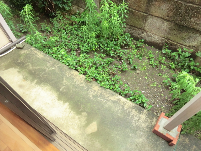 18/29 その他画像