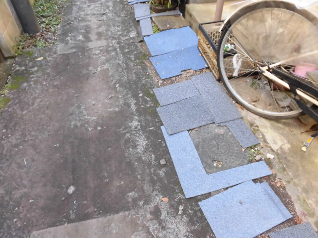 21/29 その他画像