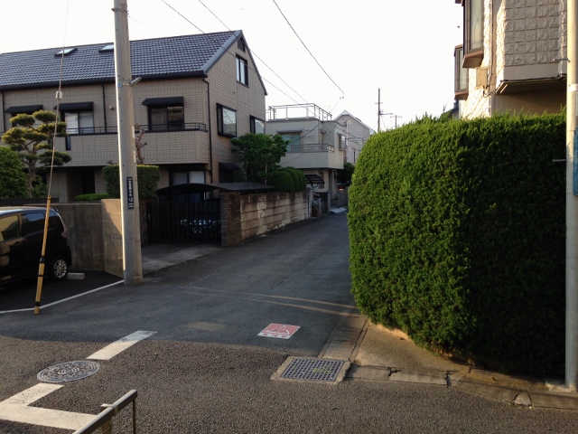 17/30 その他画像