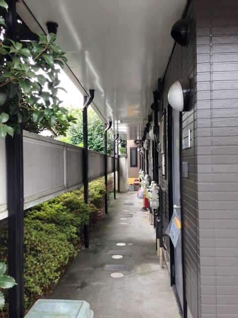 11/28 その他画像