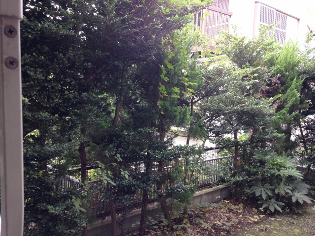 18/29 その他画像