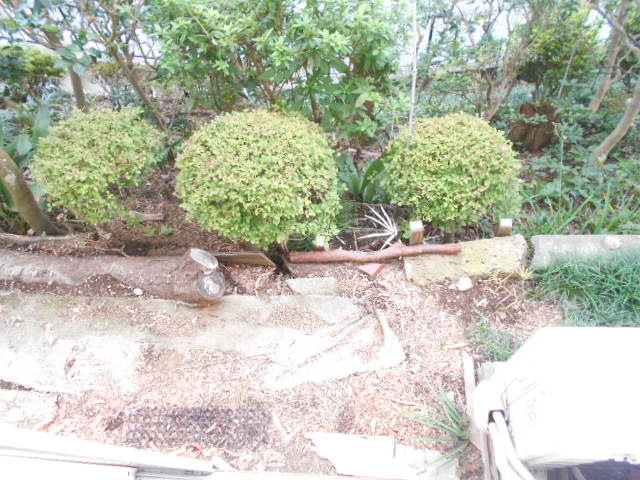 13/25 バルコニー