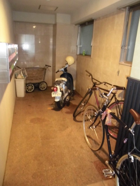 15/19 その他画像