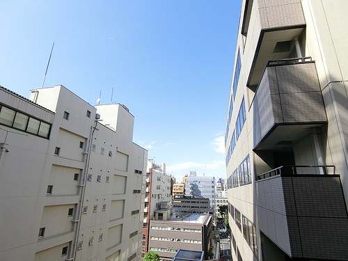 11/11 その他画像