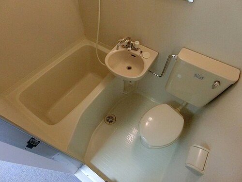 5/11 その他画像