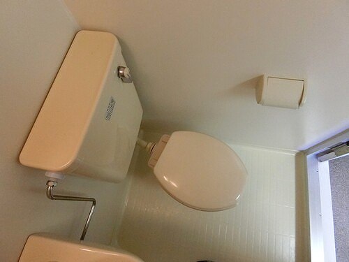 6/11 その他画像