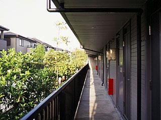 11/11 その他画像