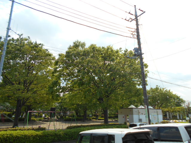 14/28 その他画像