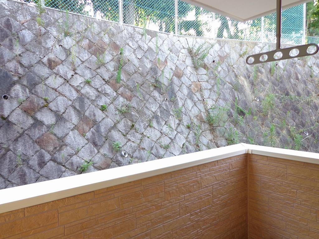 12/24 バルコニー