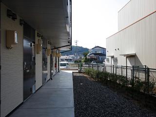 6/17 玄関