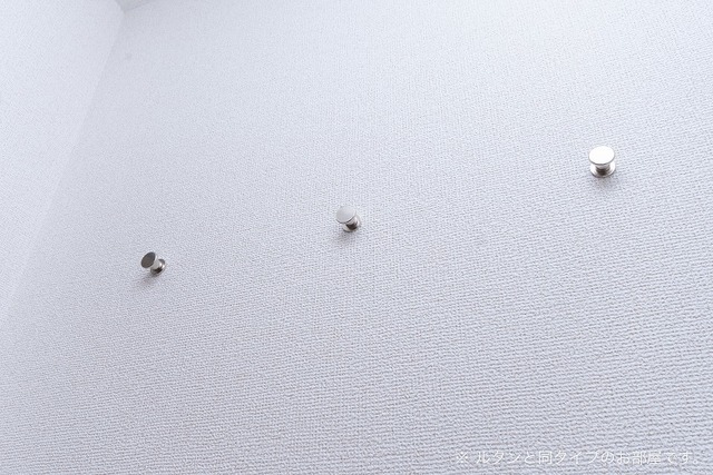 11/20 その他画像