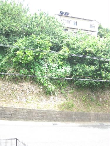 15/18 その他画像