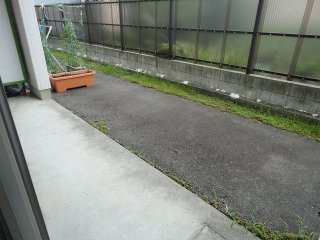 12/28 その他画像