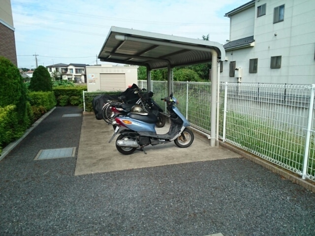 15/29 その他画像