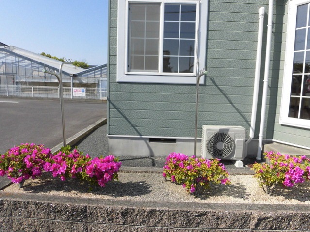 19/28 その他画像