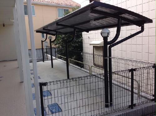 11/14 その他画像