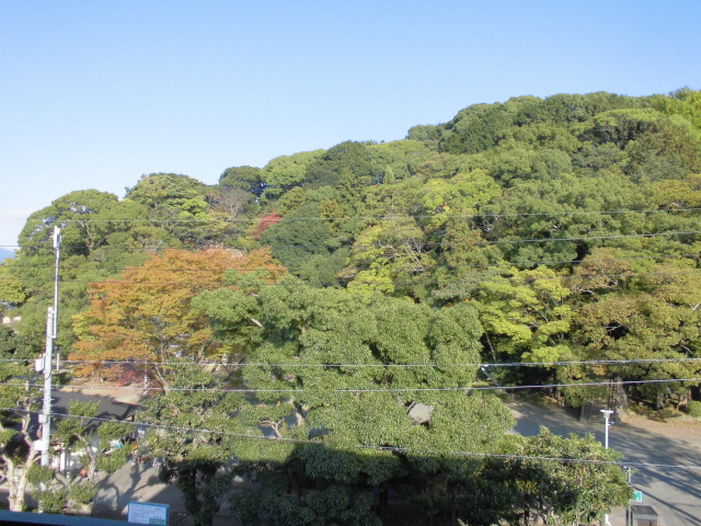 17/23 その他画像