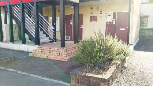 14/14 その他画像