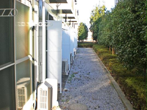 11/15 その他画像