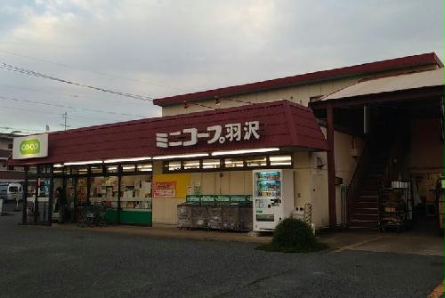 11/19 その他画像