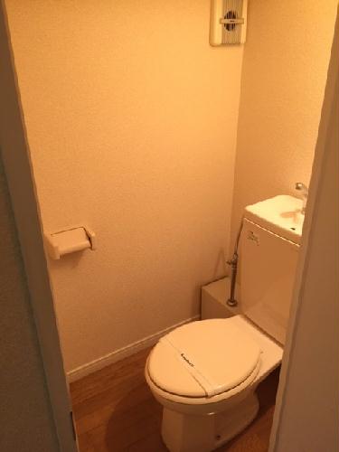 14/14 その他画像