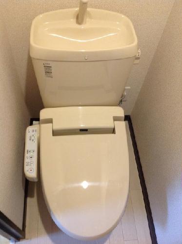 8/19 その他画像