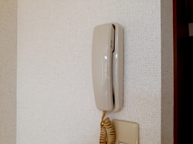 13/22 その他画像