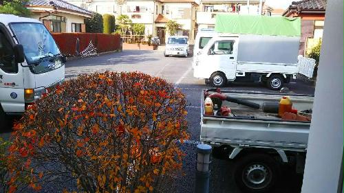 11/21 その他画像