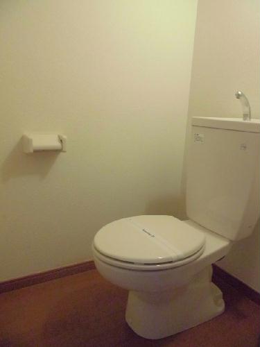 12/21 その他画像