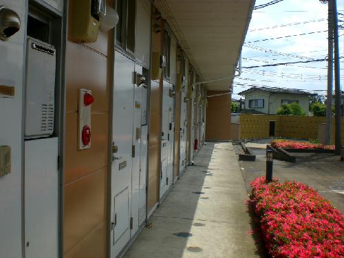 12/12 その他画像