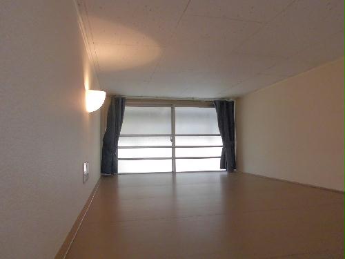 6/13 その他画像