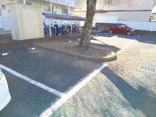 12/21 その他画像