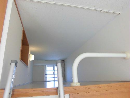 11/12 その他画像