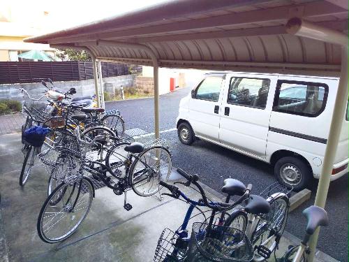 13/22 その他画像